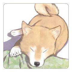 あっきょ