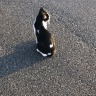 みやこ